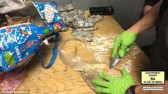 ___4767792___https:______static.pulse.com.gh___webservice___escenic___binary___4767792___2016___3___6___10___Fish-2