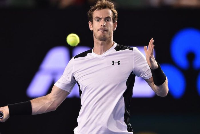 ___4611204___https:______static.pulse.com.gh___webservice___escenic___binary___4611204___2016___1___27___9___andymurray-cropped_po1a23bnnyga1e2ssw8dhu1wt_2