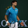___4798318___https:______static.pulse.com.gh___webservice___escenic___binary___4798318___2016___3___14___13___novakdjokovic-cropped_143np4y6xuaop1x2tgegp1cf9w
