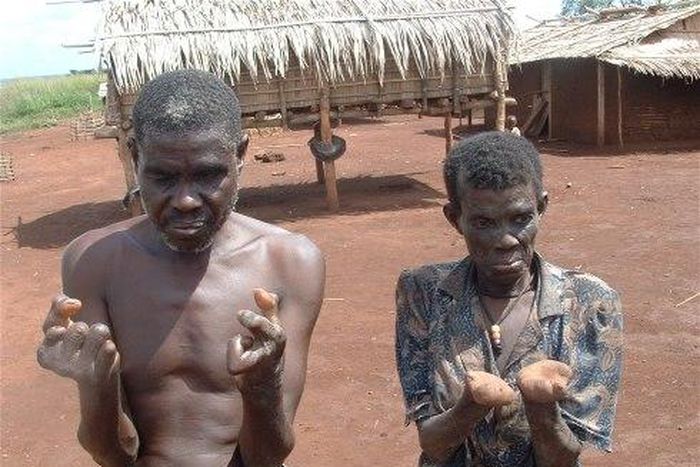 ___4655769___https:______static.pulse.com.gh___webservice___escenic___binary___4655769___2016___2___6___18___download