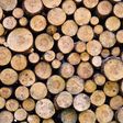 ___4571222___https:______static.pulse.com.gh___webservice___escenic___binary___4571222___2016___1___18___12___firewood-pile