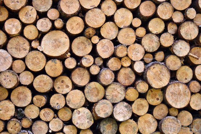 ___4571222___https:______static.pulse.com.gh___webservice___escenic___binary___4571222___2016___1___18___12___firewood-pile