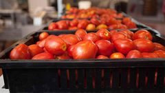 Tomatoes sold in a Ghanaian markets