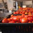 Tomatoes sold in a Ghanaian markets