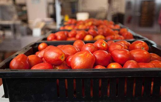 Tomatoes sold in a Ghanaian markets