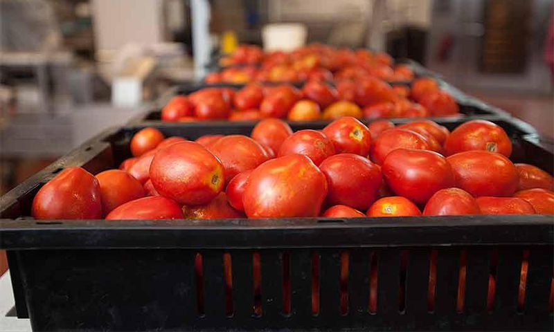 Tomatoes sold in a Ghanaian markets