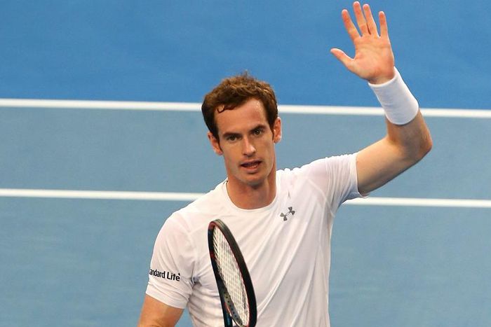___4521048___https:______static.pulse.com.gh___webservice___escenic___binary___4521048___2016___1___4___20___andy-murray-cropped_cm5alpkwkdu31ksywsvtnjmv9