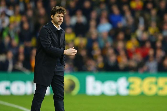 ___4503157___https:______static.pulse.com.gh___webservice___escenic___binary___4503157___2016___1___1___15___mauricio-pochettino-cropped_1sg42n53ch3ei1ll2ank8ijjey_1