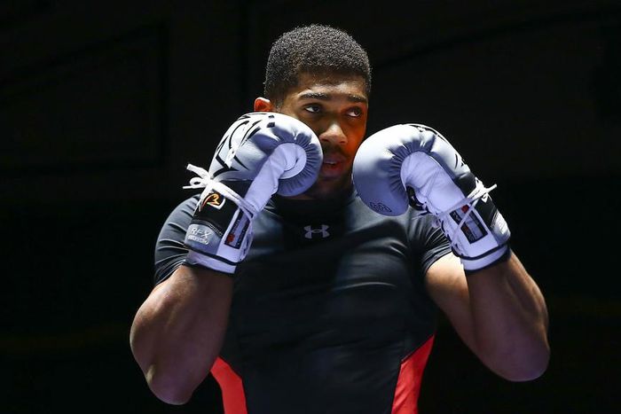 ___4881868___https:______static.pulse.com.gh___webservice___escenic___binary___4881868___2016___4___5___15___anthonyjoshua-cropped_1srwv4obakxx01g2ov4m2kmtn4