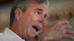 Bush hires Ohio political veteran as national adviser