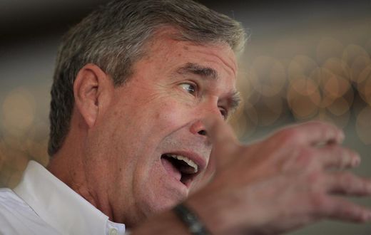 Bush hires Ohio political veteran as national adviser