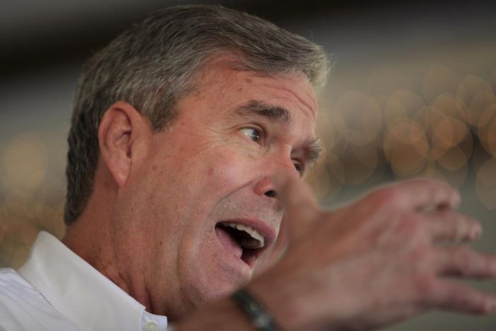 Bush hires Ohio political veteran as national adviser