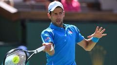 ___4848344___https:______static.pulse.com.gh___webservice___escenic___binary___4848344___2016___3___26___10___novakdjokovic-cropped_kdf9cloeh6uo1ibirx9d2mgog_2