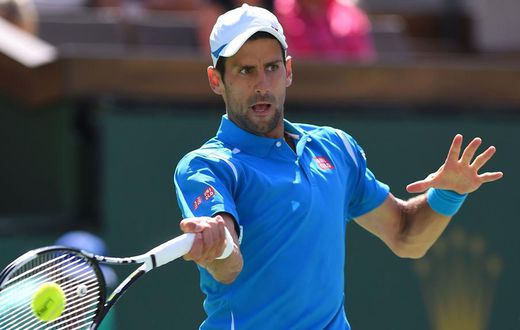 ___4848344___https:______static.pulse.com.gh___webservice___escenic___binary___4848344___2016___3___26___10___novakdjokovic-cropped_kdf9cloeh6uo1ibirx9d2mgog_2