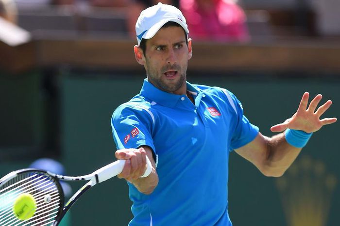 ___4848344___https:______static.pulse.com.gh___webservice___escenic___binary___4848344___2016___3___26___10___novakdjokovic-cropped_kdf9cloeh6uo1ibirx9d2mgog_2