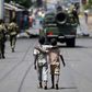 Boys walk behind patrolling soldiers in Bujumbura, Burundi, May 15, 2015. REUTERS/Goran Tomasevic/Files