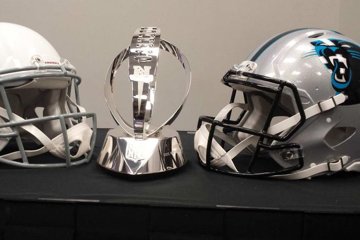 ___4594683___https:______static.pulse.com.gh___webservice___escenic___binary___4594683___2016___1___22___20___nfcchampionship-cardinals-panthers-012116-usnews-ftr_ixnugljpesev1d37q4s4kqu2d