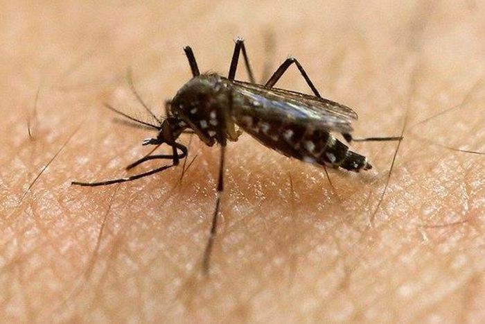 Danish man tests positive for Zika virus after Brazil trip