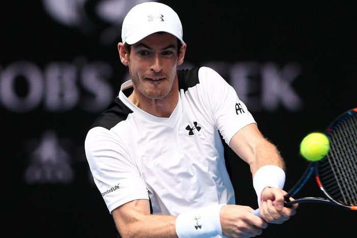 ___4585703___https:______static.pulse.com.gh___webservice___escenic___binary___4585703___2016___1___21___11___andymurray-cropped_1lzo8d895nypz1nlq0wbh8c07k