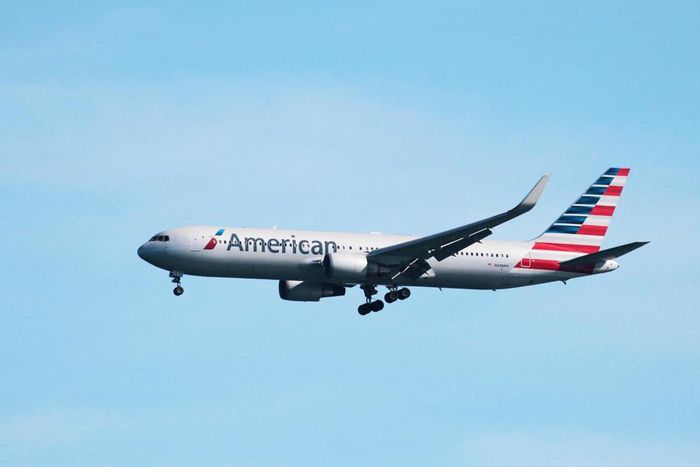 American Airlines flight