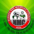 Ghana's Midwifery Council