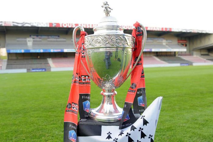 ___4566912___https:______static.pulse.com.gh___webservice___escenic___binary___4566912___2016___1___24___0___coupedefrance-cropped_1qu4cwscbgs1n16sh6qtrbd80r