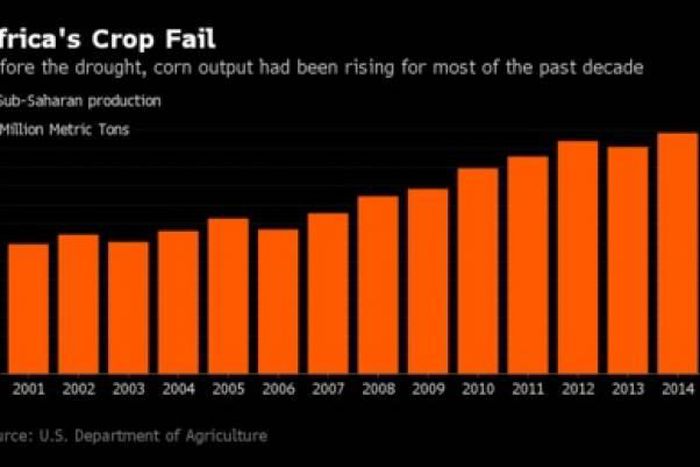 The situation may be the worst since sub-Saharan Africa’s last major food crisis in 2002-2003, with 28 million people already contending with hunger, according to January figures provided by the UN’s humanitarian affairs agency.