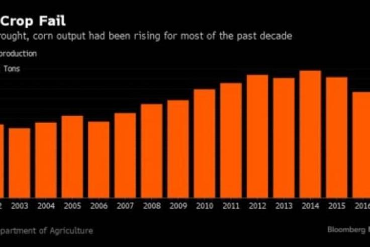The situation may be the worst since sub-Saharan Africa’s last major food crisis in 2002-2003, with 28 million people already contending with hunger, according to January figures provided by the UN’s humanitarian affairs agency.