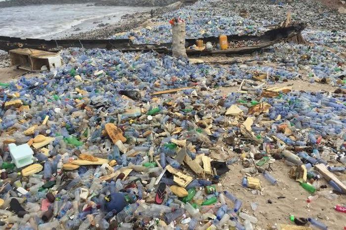 ___4749644___https:______static.pulse.com.gh___webservice___escenic___binary___4749644___2016___3___1___18___fishingplastic