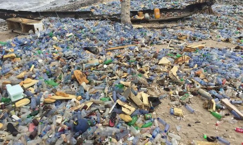 ___4749644___https:______static.pulse.com.gh___webservice___escenic___binary___4749644___2016___3___1___18___fishingplastic