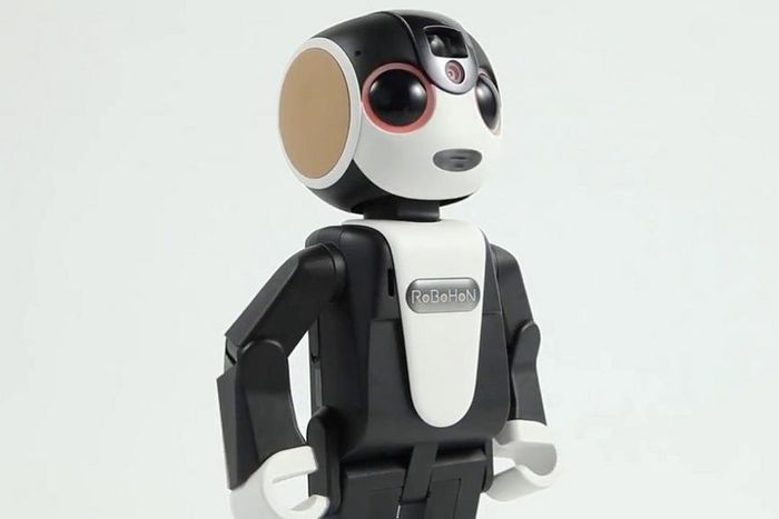 Sharp's new pint-size RoBoHoN phone is a robot that walks.