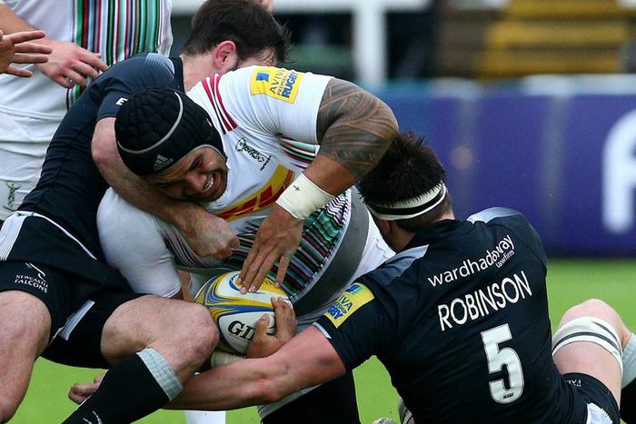 ___4628387___https:______static.pulse.com.gh___webservice___escenic___binary___4628387___2016___1___31___21___newcastlevharlequins-cropped_jed519sc1e0o1g1sf20d04385_2