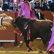 Bullfighter survives after raging bull gores him in the buttock