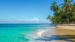 ___4632566___https:______static.pulse.com.gh___webservice___escenic___binary___4632566___2016___2___1___16___480166444