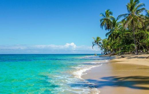 ___4632566___https:______static.pulse.com.gh___webservice___escenic___binary___4632566___2016___2___1___16___480166444
