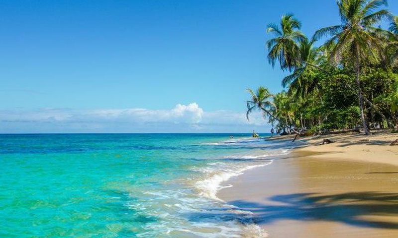 ___4632566___https:______static.pulse.com.gh___webservice___escenic___binary___4632566___2016___2___1___16___480166444