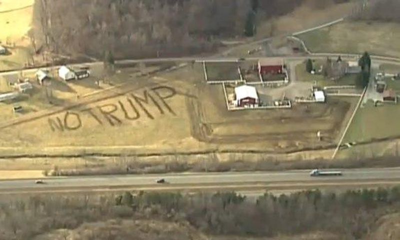 Farmer goes viral after spelling 'No Trump' with cow shit