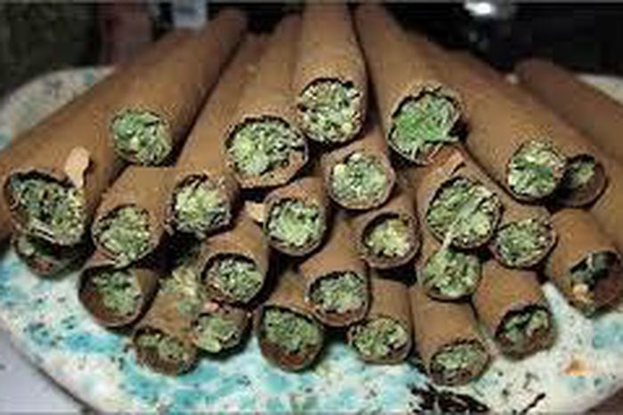 ___4902408___https:______static.pulse.com.gh___webservice___escenic___binary___4902408___2016___4___10___13___weed