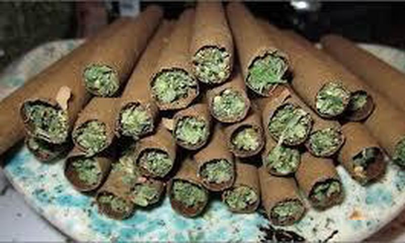 ___4902408___https:______static.pulse.com.gh___webservice___escenic___binary___4902408___2016___4___10___13___weed