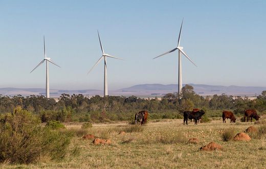 ___4848113___https:______static.pulse.com.gh___webservice___escenic___binary___4848113___2016___3___25___22___Acciona_Gouda-Wind-Farm_2