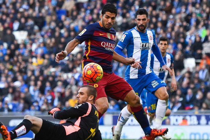 ___4515865___https:______static.pulse.com.gh___webservice___escenic___binary___4515865___2016___1___2___19___suarez-cropped_1gk4rs1wydm41k6n1gvagzu5o_2