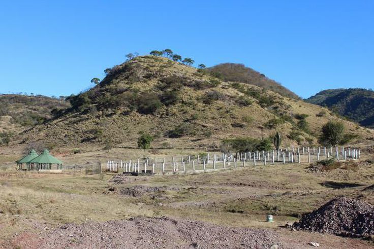 Mexico kills two, nabs 22 in bust of Sinaloa cartel smuggling ring