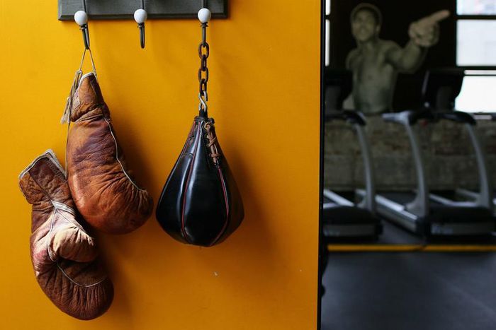 ___4653499___https:______static.pulse.com.gh___webservice___escenic___binary___4653499___2016___2___5___22___boxing-gloves-11915-usnews-getty-ftr_1s4qbyza382fl1vfs9ocdzk01i_2