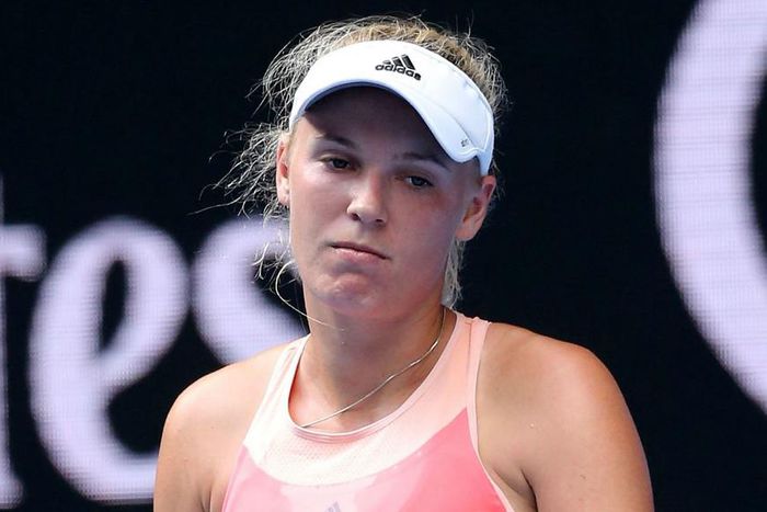 ___4569867___https:______static.pulse.com.gh___webservice___escenic___binary___4569867___2016___1___18___14___carolinewozniacki-cropped_1f74wdamgzgra11voz695echnq