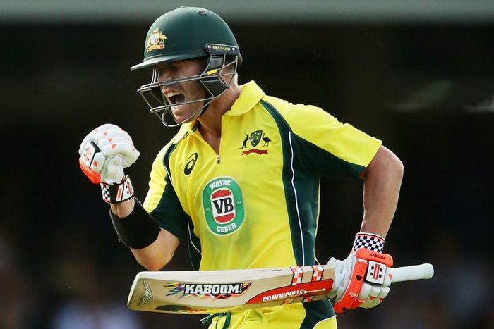 ___4772907___https:______static.pulse.com.gh___webservice___escenic___binary___4772907___2016___3___7___19___davidwarnercropped_12hrpa56e2j4513me8f1yc0ou3