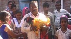 Bizarre wedding ceremony of 2 dogs attracts over 5000 people to watch