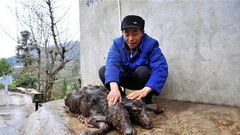 Pictures of 2-headed strange animal goes viral