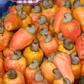 ___4843570___https:______static.pulse.com.gh___webservice___escenic___binary___4843570___2016___3___24___13___Cashew_Brazil_fruit_3