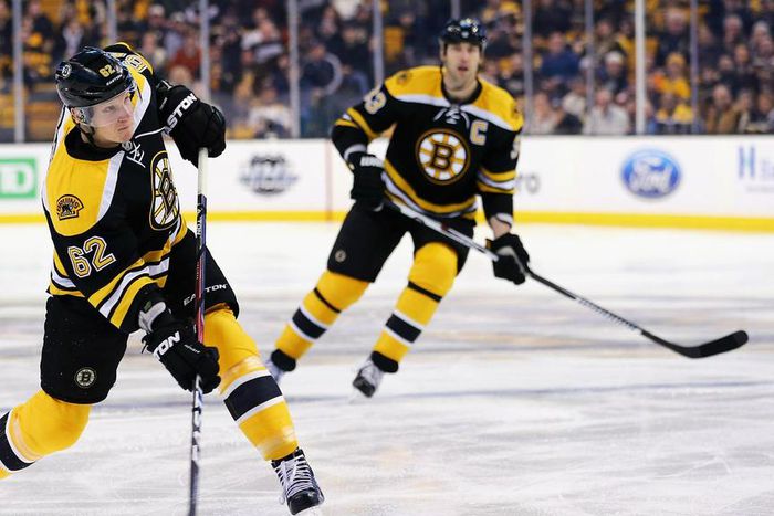 ___4610974___https:______static.pulse.com.gh___webservice___escenic___binary___4610974___2016___1___27___7___anaheimducks-cropped_1fc0wo9g9un2h1ux9xcoubc0pn