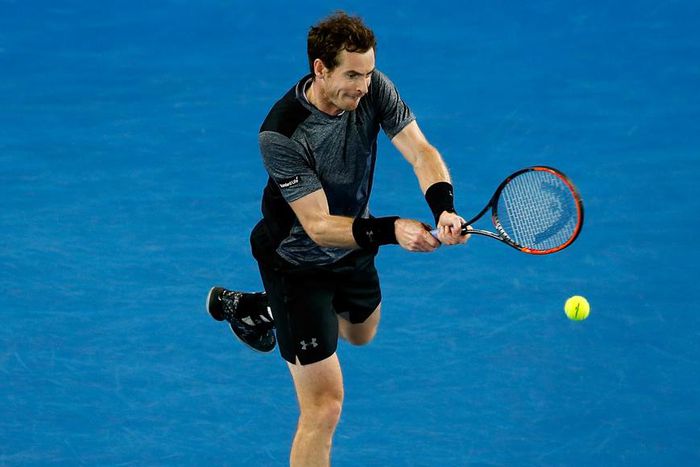 ___4596817___https:______static.pulse.com.gh___webservice___escenic___binary___4596817___2016___1___23___15___andymurray-cropped_c1dn55v2z6nt1osvnat44phdw_2